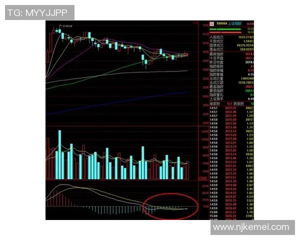 武汉排球队与北京排球队赛后复盘分析比赛节奏与战术对比